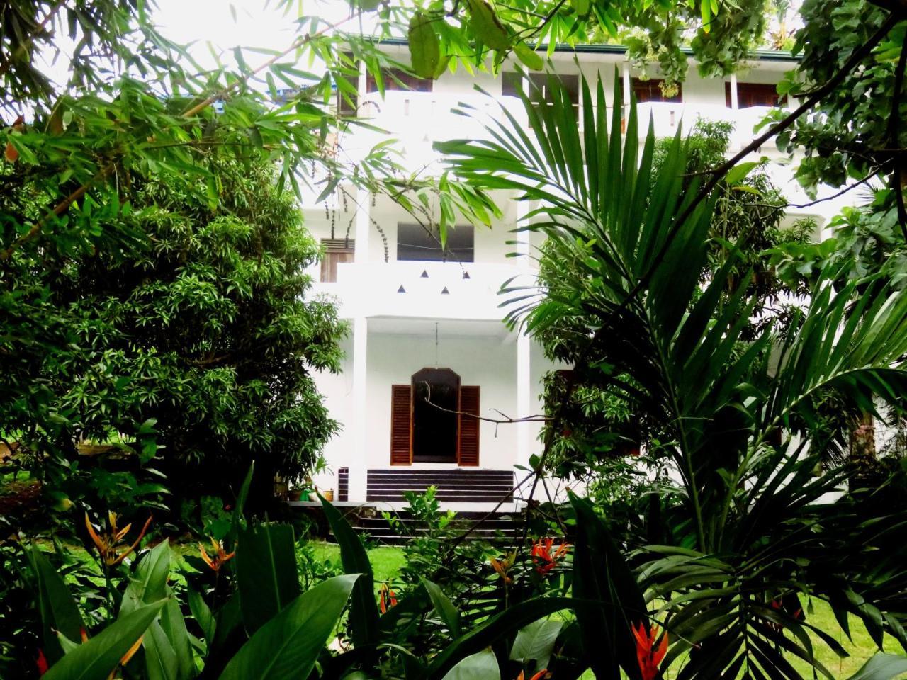 Sea Avenue - Eco Garden Hotel Tangalle Exterior photo